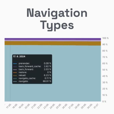 Navigation Types: nový pohled na uživatelskou zkušenost